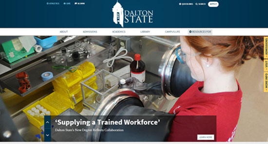 Dalton State College website design